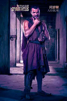 Spartacus: House Of Ashur