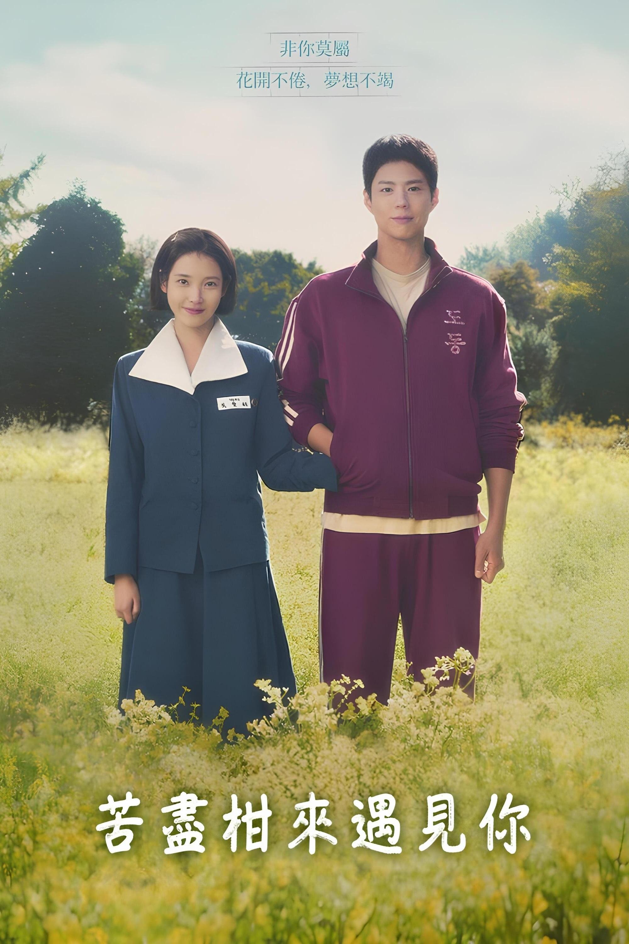 Limited Series