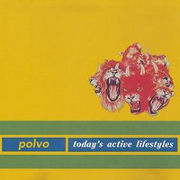 Today’s Active Lifestyles